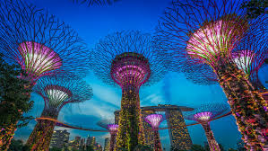 Singapore Honeymoon Package