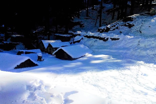 Dalhousie Winter Trek with Camping