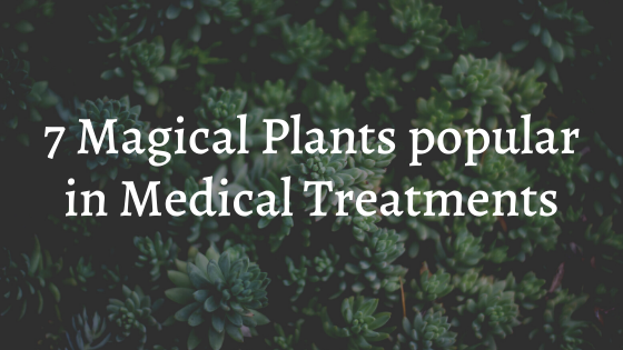 7 Popular Magical Plants in Medical Treatments